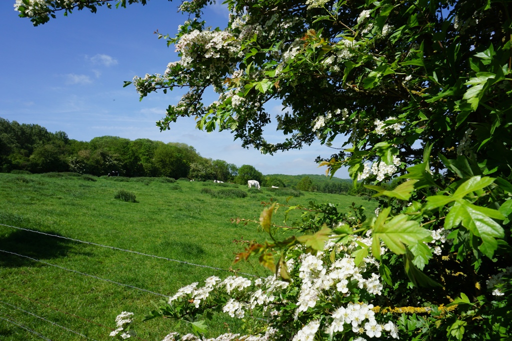 Le Sentier du Poilu – Souchez