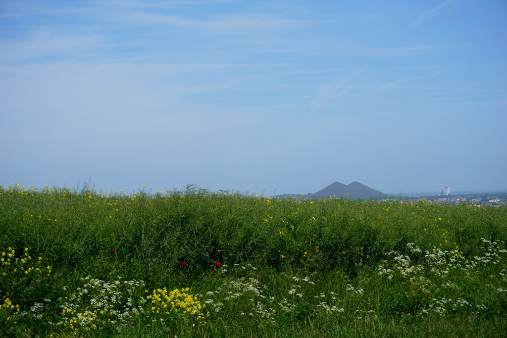 Le Sentier du Poilu