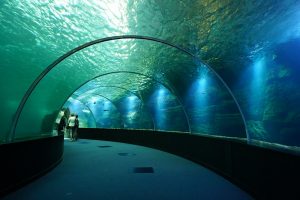 Le tunnel à Nausicaa