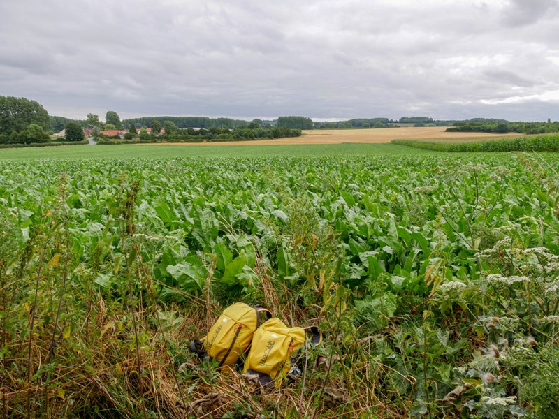 Le Puits sans Fond