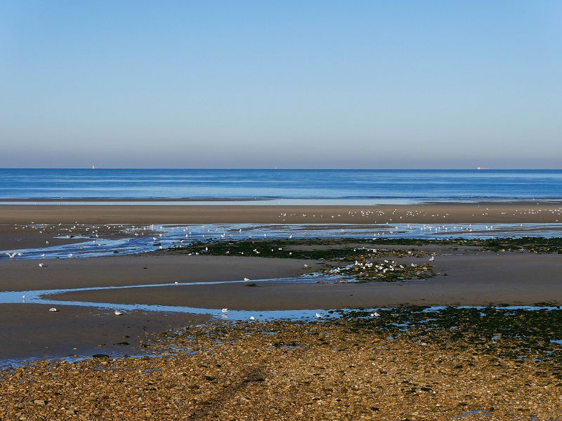 Plage de Wimereux