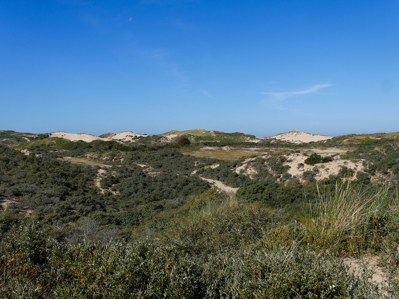 dunes de la slack