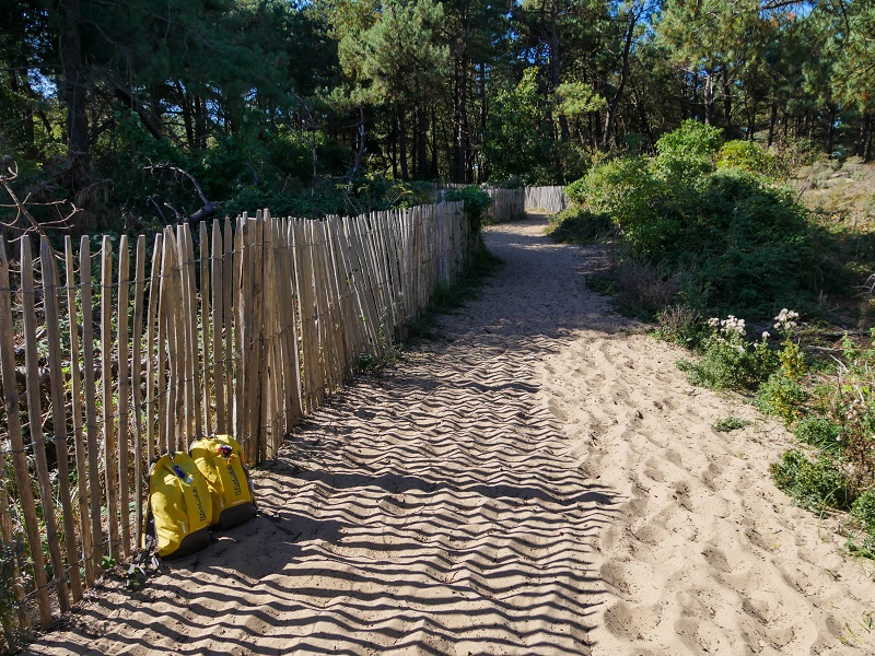 chemin dans les dunes