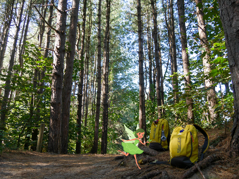 forets fee des dunes