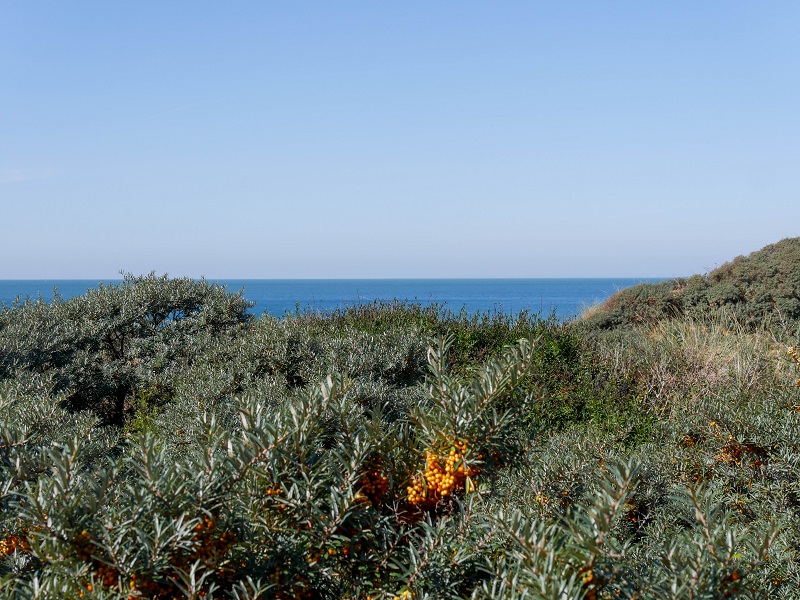 vue sur mer