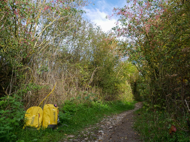 le sentier