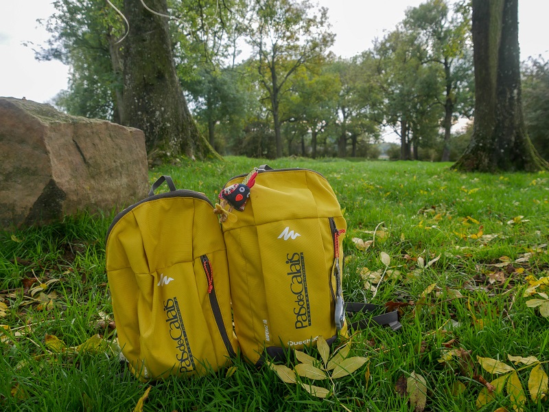 Clairière en forêt