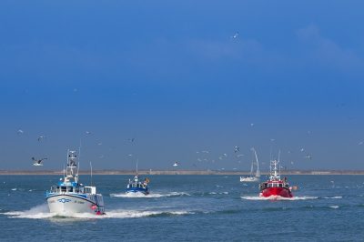 port, boulogne-sur-mer, bateaux, pêche Bateaux de pêche dans le port de Boulogne